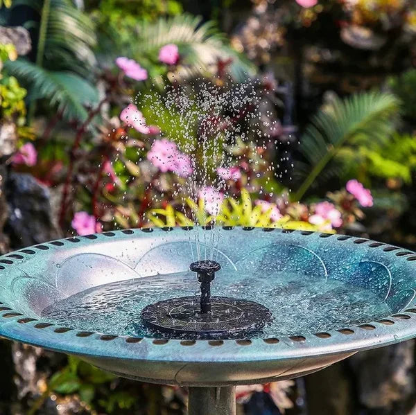 Solar-Powered Water Fountain