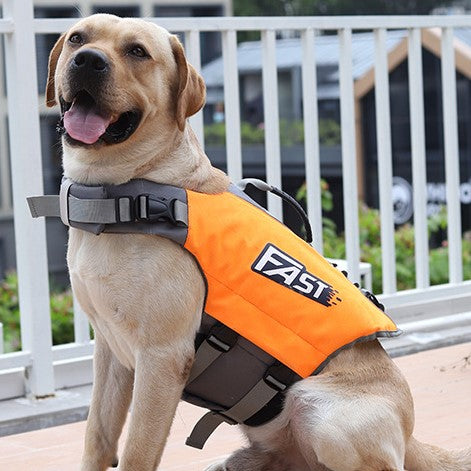 SurfPaws | Safe and Adjustable Life Jacket