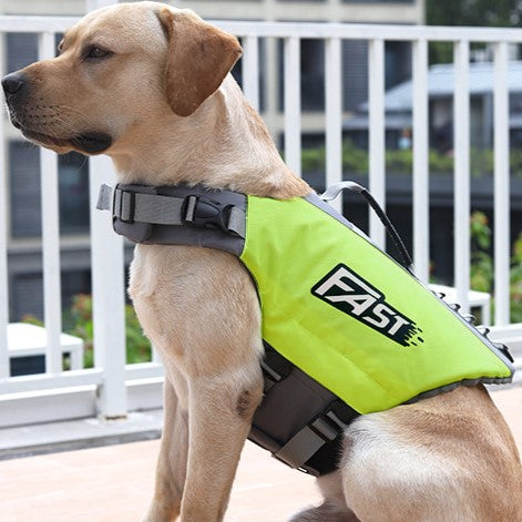 SurfPaws | Safe and Adjustable Life Jacket