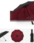 Windproof Storm Umbrella