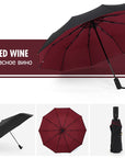Windproof Storm Umbrella