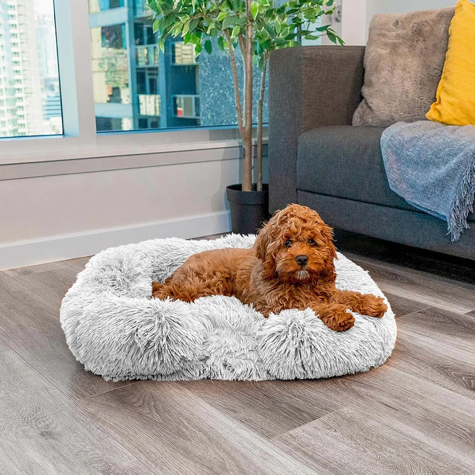WoofHaven | Calming Bed (Memory Foam)
