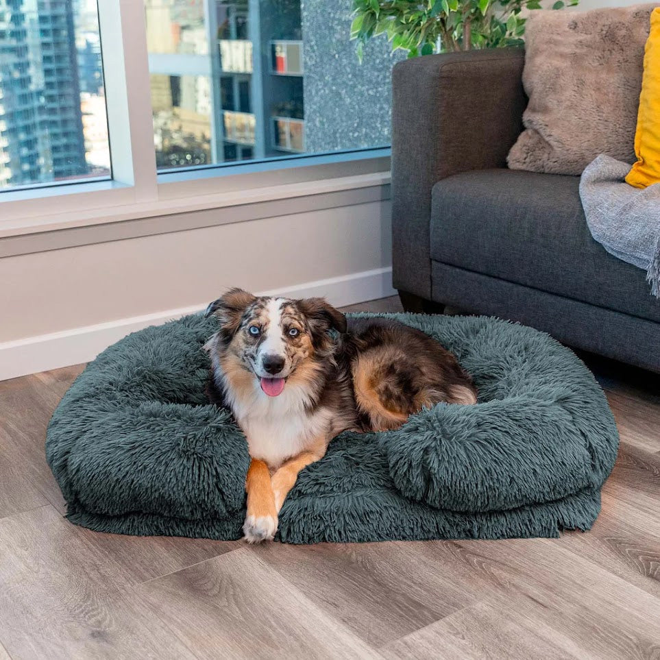 WoofHaven | Calming Bed (Memory Foam)
