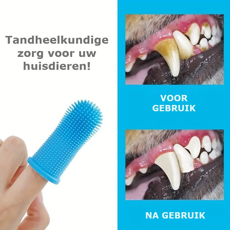 WoofWiper | Fresh Breath and Dental Care
