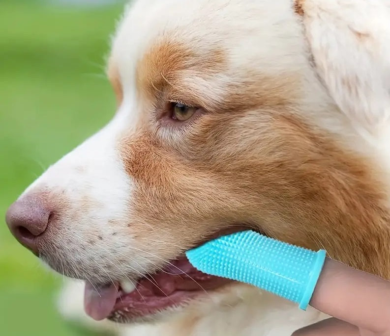 WoofWiper | Fresh Breath and Dental Care