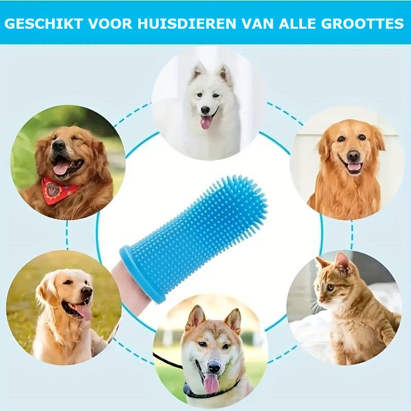 WoofWiper | Fresh Breath and Dental Care