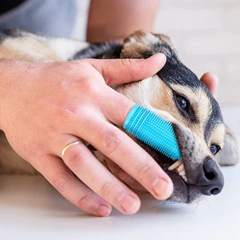 WoofWiper | Fresh Breath and Dental Care
