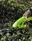 WorkPro Electric Hedge Trimmer | Efficient & Quick Trimming!