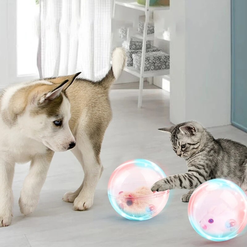 ZoomZing | Interactive Ball for Pets