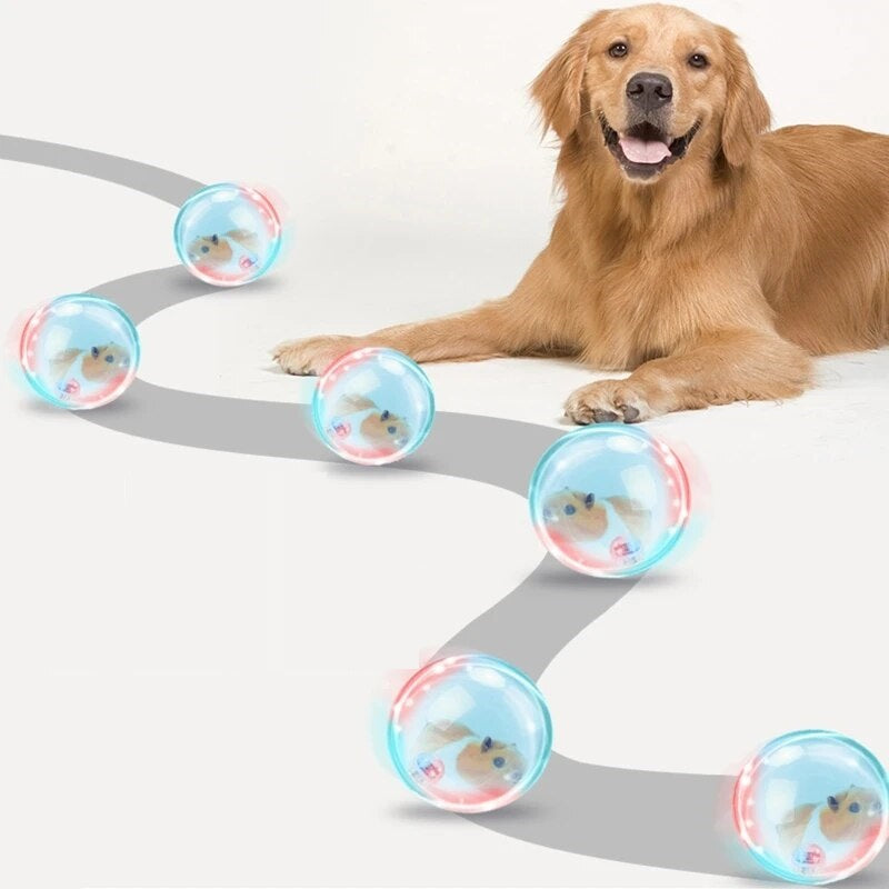 ZoomZing | Interactive Ball for Pets