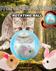 ZoomZing | Interactive Ball for Pets