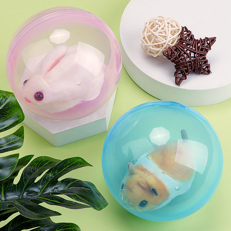 ZoomZing | Interactive Ball for Pets