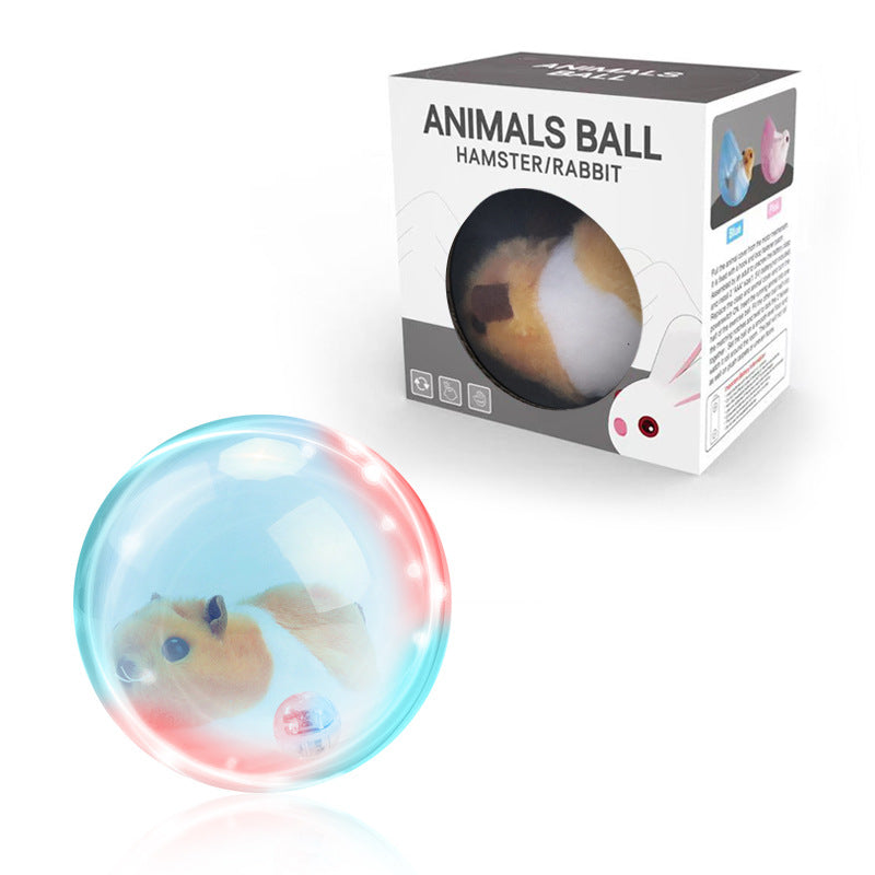 ZoomZing | Interactive Ball for Pets