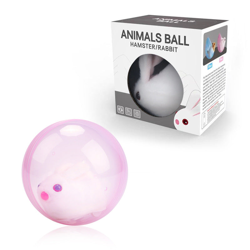 ZoomZing | Interactive Ball for Pets