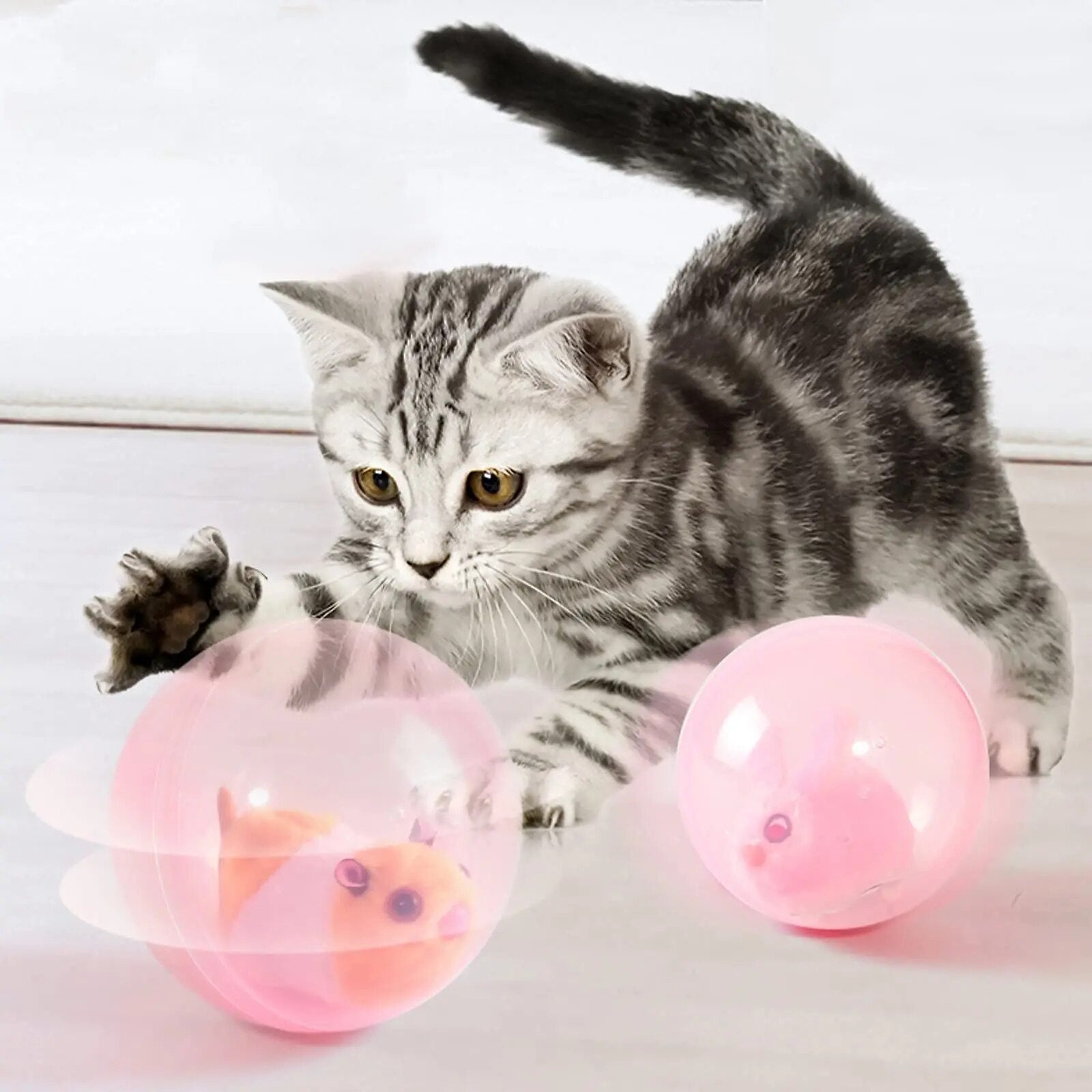 ZoomZing | Interactive Ball for Pets