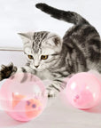 ZoomZing | Interactive Ball for Pets