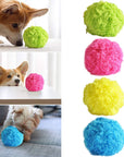 ZoomieBall™ | Fun and Active Playtime