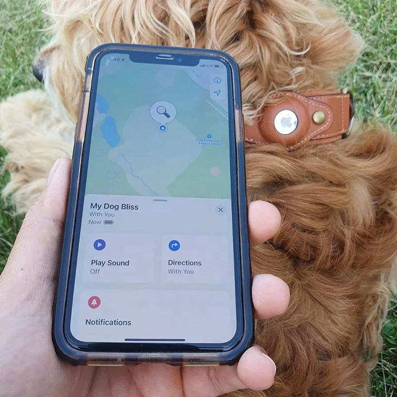TrackMate | Real-Time Tracking Collar
